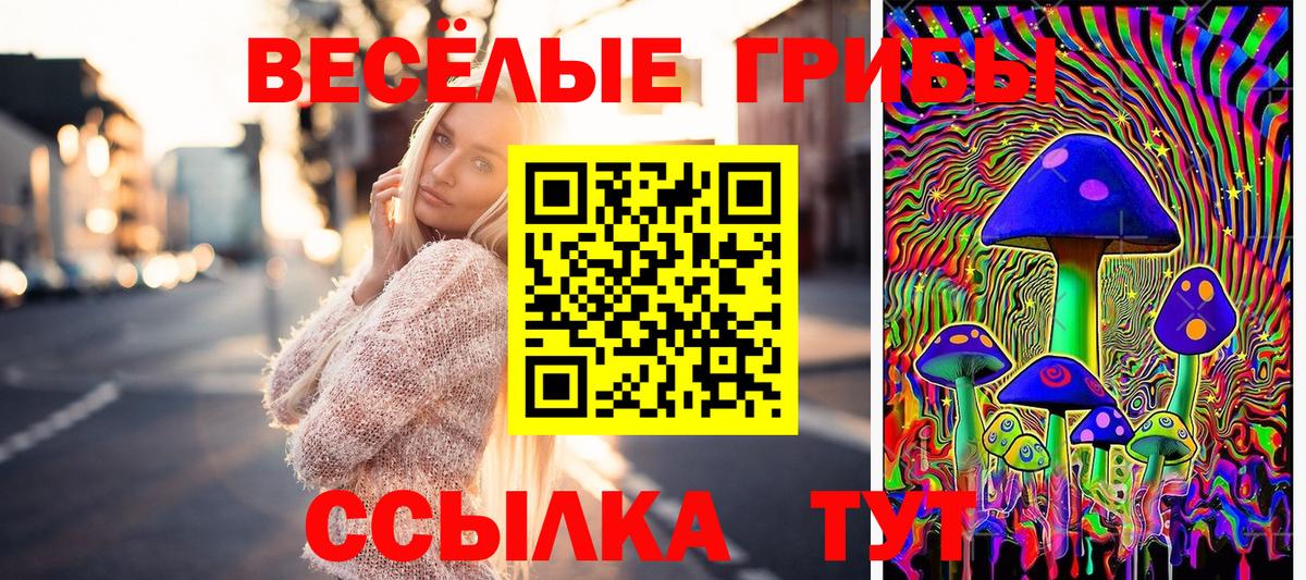 что такое   Вход с VPN  Галлюциногенные грибы мицелий  Батайск  Галлюциногенные грибы Cubensis 