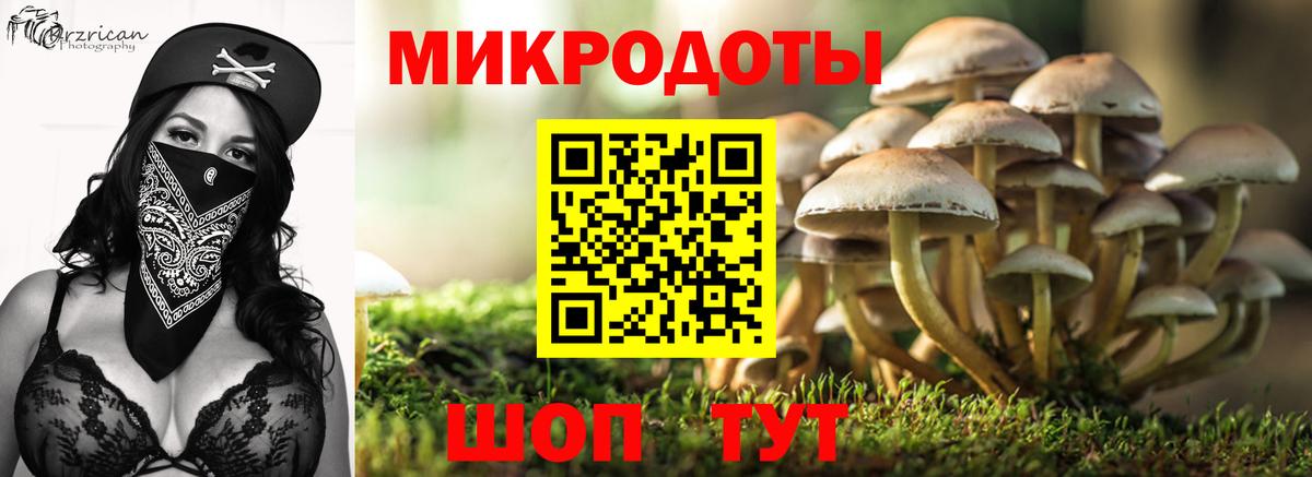 Псилоцибиновые грибы прущие грибы Батайск